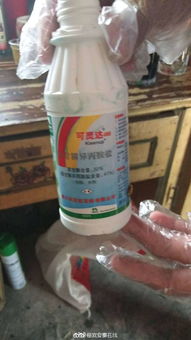 生命的重量 六安女子轻生事件背后的心理危机与家庭沟通之道