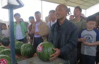 诸城吃瓜群众,揭秘当地生活百态