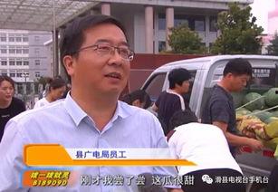 滑县吃瓜视频播放,揭秘当地特色美食文化