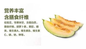 吃瓜哈密的瓜,揭秘吃瓜哈密的瓜之谜