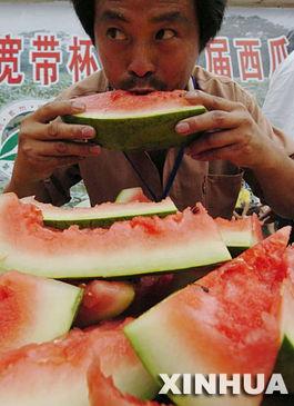 吃瓜面比赛,舌尖上的趣味竞技盛宴