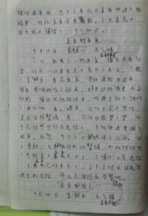 观察吃瓜作文怎么写,吃瓜群众眼中的百态人生