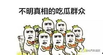 无效吃瓜,揭秘无效吃瓜背后的真相与反思