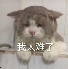 内娱吃瓜打卡,揭秘娱乐圈幕后故事